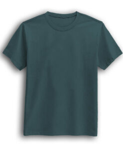 Gray mint color round neck half sleeve t-shirt